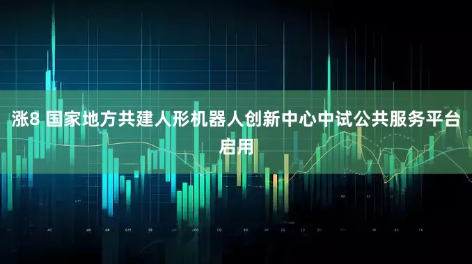 涨8 国家地方共建人形机器人创新中心中试公共服务平台启用
